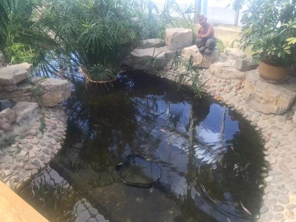 生態(tài)餐廳溫室